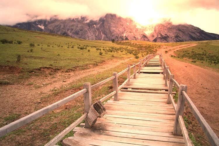 Negotiating Patient Access-A Matter of Culture and Stamina Feature Image