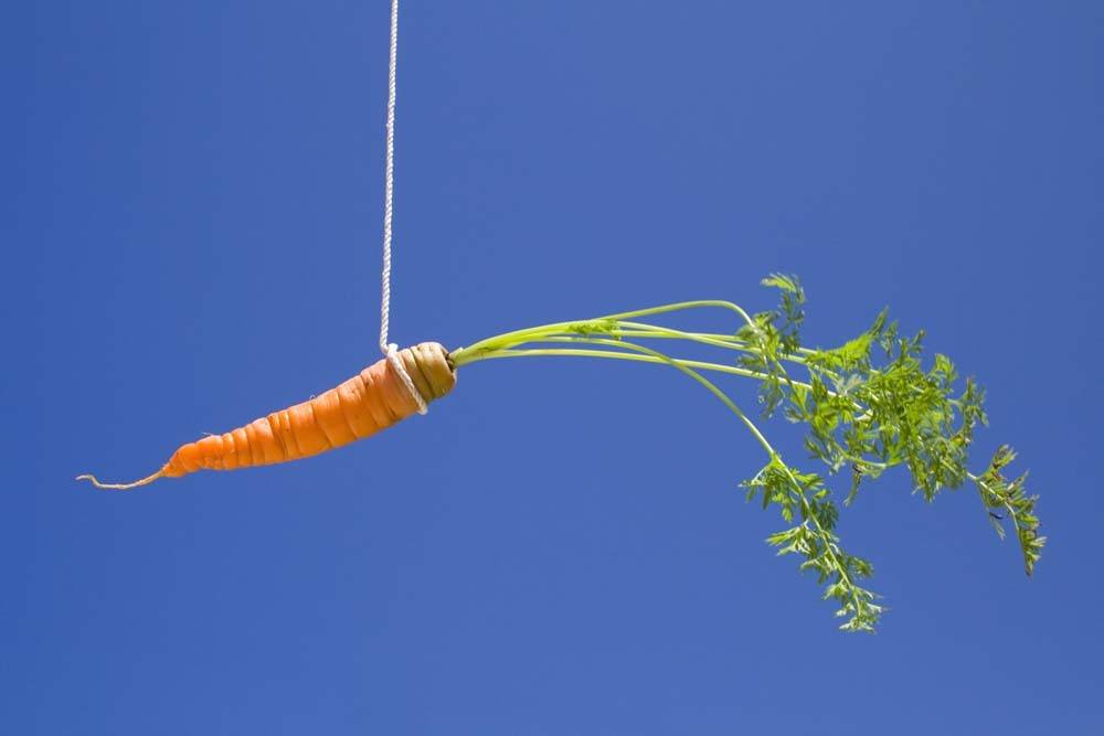 Carrots and Sticks The Changing Incentives for Use of RealWorld