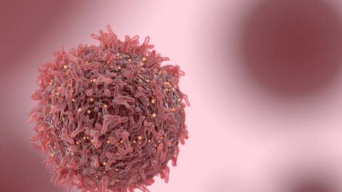 Oncology – An Exciting Time of New Hope and New Challenges Feature Image